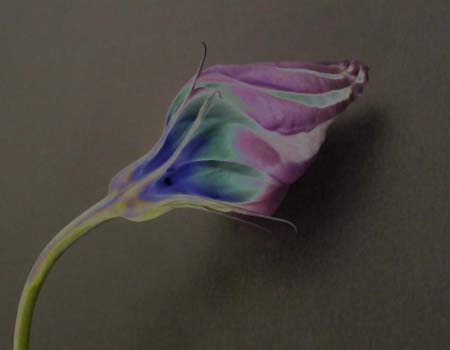 Pointy Bud 172-4