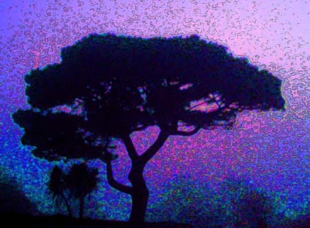 Tree Mist 2