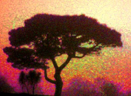 Tree Mist 4