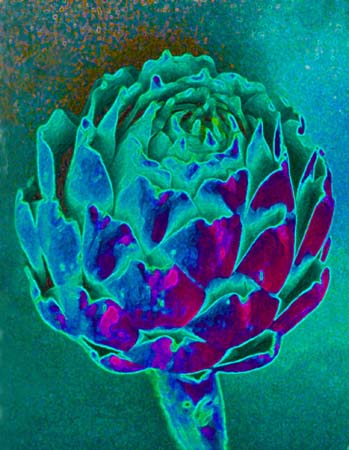 Turquoise Artichoke 233-4