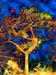 Bird Tree 2-015
