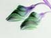 Pointed Buds 181-2