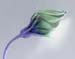 Pointy Bud 172-3