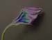 Pointy Bud 172-4