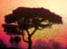 Tree Mist 4