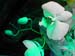 Turq Orchid 177-2