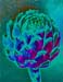Turquoise Artichoke 233-4