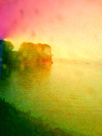 Cove Estuary  1-4-3