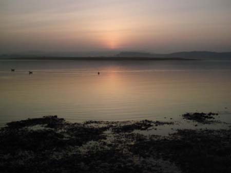 Estuary Calm 1