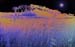 Budleigh New Glow