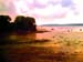 Cove Estuary 3-7