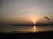 Estuary Calm 106-bird 1