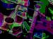 Guitar Group 079-2