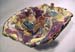 Shell with Fish and Frog