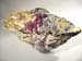 Shell with Mermaid - Side View