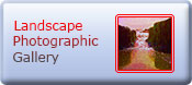 Landscapes Gallery Btn
